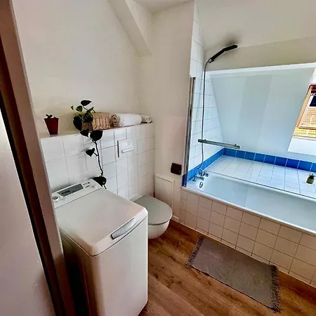 Daire Au Pieds Du Vignoble Colmarien